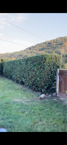 Photo de galerie - Taille 