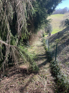 Photo de galerie - Tonte de pelouse - Débroussaillage