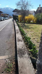 Photo de galerie - Clôture Grillage