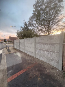 Photo de galerie - Enlèvement de la haie existante, pour refaire clôture en plaque béton de 50cm .