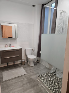 Photo de galerie - Nettoyage douche ?/ paroie  et meuble Sdb avec gestion des consommables compris dans mes prestations sur vos Logements Locatifs 