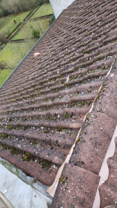 Photo de galerie - Ceci est un chantier fait par mes soins il s'agit d'un démosage de toiture