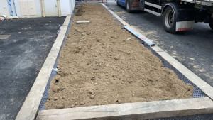 Photo de galerie - Pose de bordure et mise en place de terre pour de futur arbre  