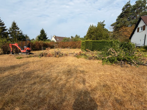 Photo de galerie - Arrachage de haie
