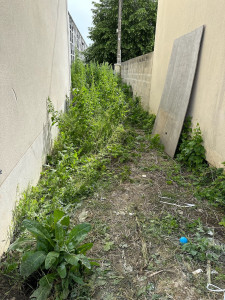 Photo de galerie - Tonte de pelouse - Débroussaillage