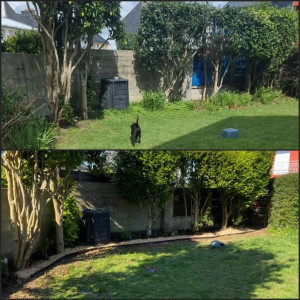 Photo de galerie - Un avant-après d'un jardin.