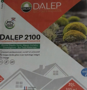 Photo de galerie - Dahleb, 2100