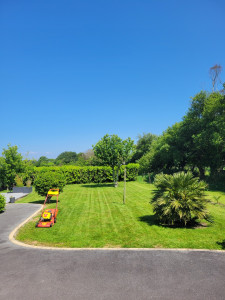 Photo de galerie - Entretien de Jardin 