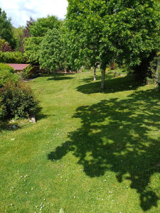 Photo de galerie - Tonte d'un terrain de 2000 m2