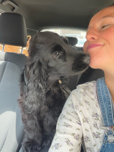 Photo de galerie - Garde chien