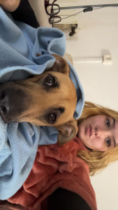 Photo de galerie - Zaya 