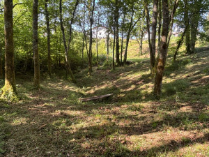 Photo de galerie - Résultat du broyage avec la pelle 