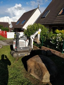 Photo de galerie - Réaménagement d'un jardinet, avec élagage, desouchage, reprofilage du terrain. AVANT