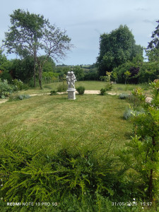 Photo de galerie - Entretien régulier d'un jardin 1h taille, tonte, entretien de part terre et création.