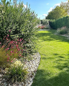 Photo de galerie - Tonte pelouse, débroussaillage, désherbage, taillage de haies