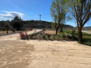 Photo de galerie - En cours de réalisation, création d’une allée et parking en clapicette. Création boulodrome. Création des haies et plantation de plus de 300 Lavandins.