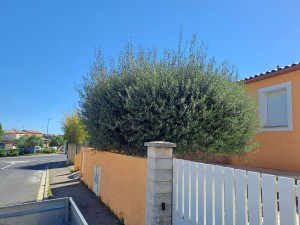 Photo de galerie - Avant 
