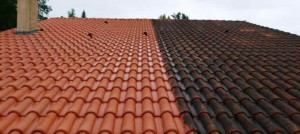 Photo de galerie - Nettoyage Toiture, l’application produit anti mousse plus hydrofuge