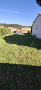 Photo de galerie - Jardin avant tonte et débroussaillage 