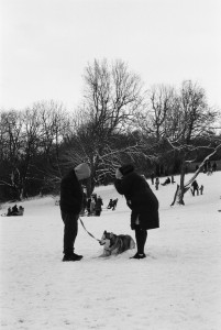 Photo de galerie - L'argentique pour les amoureux du vintage.