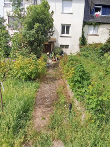 Photo de galerie - Tonte de pelouse - Débroussaillage