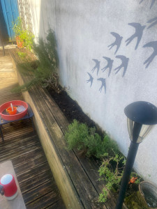 Photo de galerie - Nettoyage de jardinière 