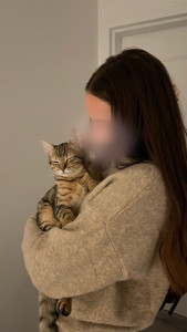 Photo de galerie - .