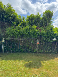 Photo de galerie - Jardinier