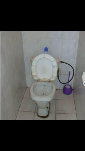Photo de galerie - Remplacement de toilettes 