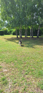 Photo de galerie - Garde de Umana