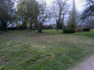 Photo de galerie - Tonte