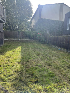 Photo de galerie - Après 