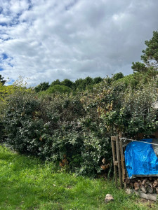 Photo de galerie - Avant 