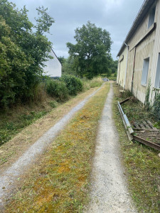 Photo de galerie - Tonte de pelouse - Débroussaillage