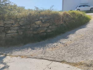 Photo de galerie - Tonte de pelouse - Débroussaillage