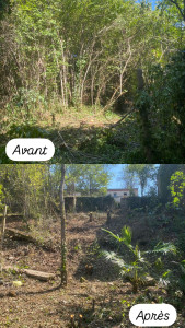 Photo de galerie - Élagage arbres