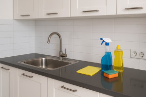 Photo de galerie - Ménage fait dans la cuisine 