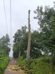 Photo de galerie - Démontage risqué 
