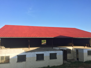 Photo de galerie - Couverture - Toiture