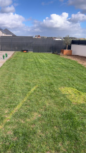 Photo de galerie - Tonte de pelouse et débroussaillage 