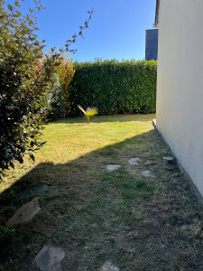 Photo de galerie - Tonte de pelouse - Débroussaillage