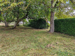 Photo de galerie - Taille de haie + débroussaillage 