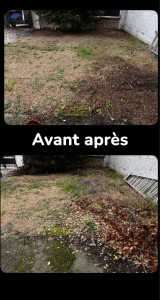 Photo de galerie - Nettoyage de jardin avant après 