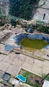 Photo de galerie - Paysagiste - Aménagement du jardin