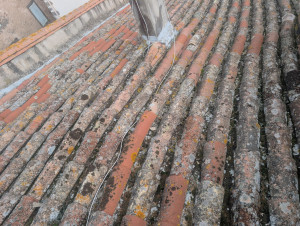 Photo de galerie - Reprise de toiture après infiltration d'eau pluviale