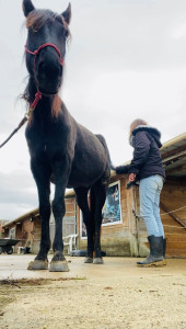 Photo de galerie - Garde animaux