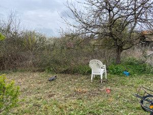 Photo de galerie - Avant après d un chantier de débroussaillage 
