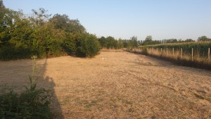 Photo de galerie - Voici une photo de réalisation proposée pour un Voisin