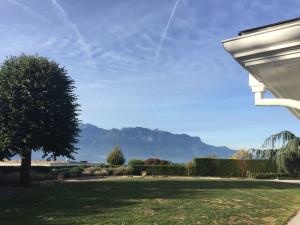 Photo de galerie - Tonte de pelouse, taille de haie, entretien d'un massif lors de mon voyage professionnel en Suisse (La-tour-de-peilz)