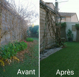 Photo de galerie - Enlever les mauvaises herbes, tondre et nettoyer un jardin 